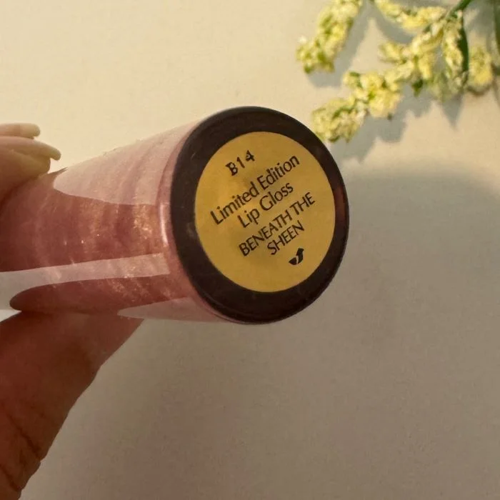 لیپ گلاس استی لادر Estee lauder